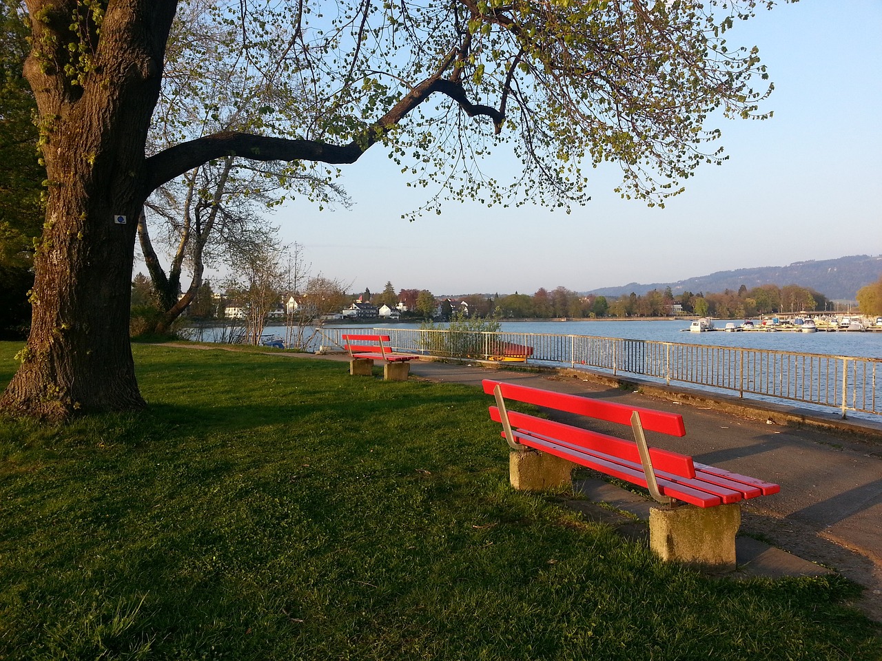 重庆铜梁龙签下山东泰山B队球员张英凯